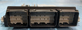 Ford Bosch FoMoCo LU9A-12A650-JA ECU ECM BGX ECC Module