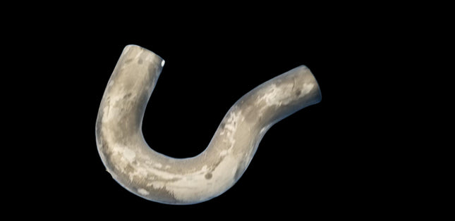 Genuine Honda Drain Tube 17744-TZ5-A010 - getexcess