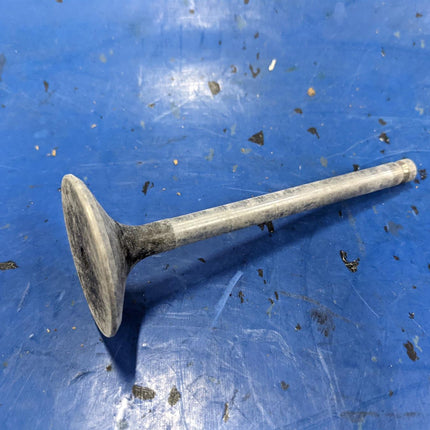 Inlet Valve Isuzu 1125510830