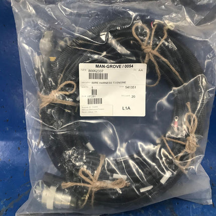 T3 Engine Wire Harness Manitowoc 80062337 - getexcess