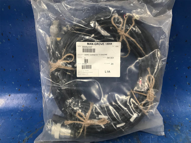T3 Engine Wire Harness Manitowoc 80062337 - getexcess